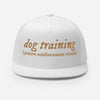 R+ Dog Training Trucker Hat