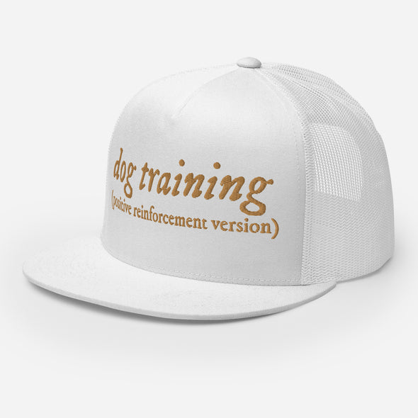 R+ Dog Training Trucker Hat