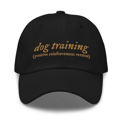 R+ Dog Training Dad hat