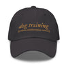 R+ Dog Training Dad hat