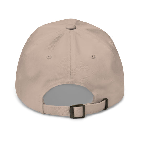 R+ Dog Training Dad hat