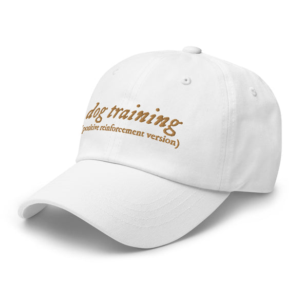 R+ Dog Training Dad hat