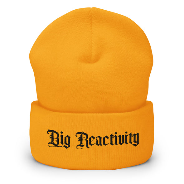 Big Reactivity Beanie