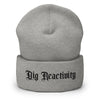 Big Reactivity Beanie