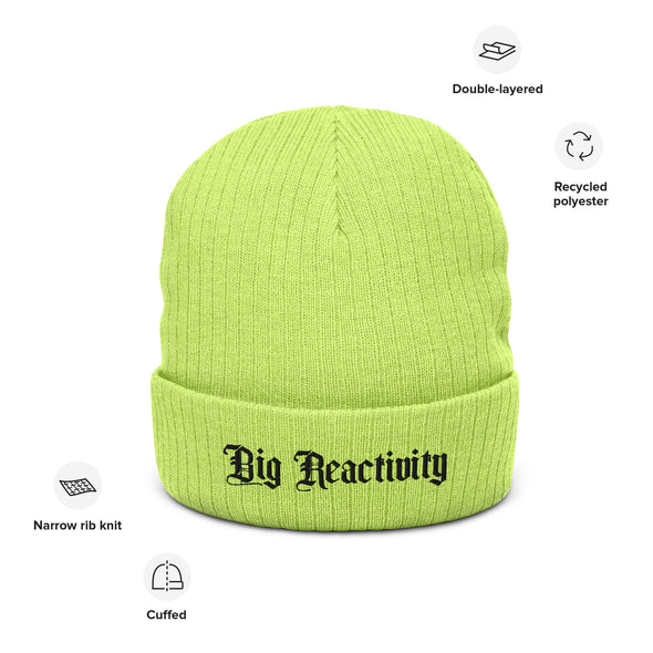 Big Reactivity Recycled Beanie