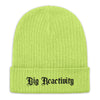 Big Reactivity Recycled Beanie