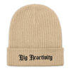 Big Reactivity Recycled Beanie