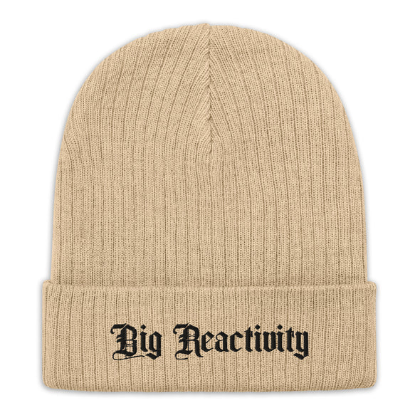 Big Reactivity Recycled Beanie