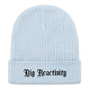 Big Reactivity Recycled Beanie