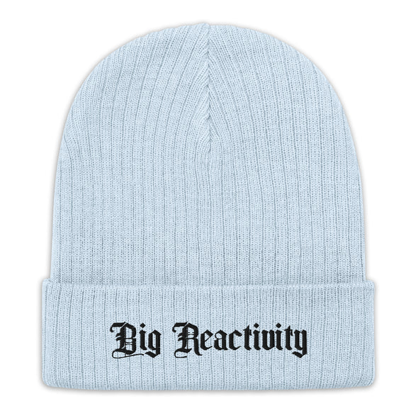 Big Reactivity Recycled Beanie