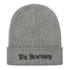 Big Reactivity Recycled Beanie