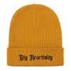 Big Reactivity Recycled Beanie