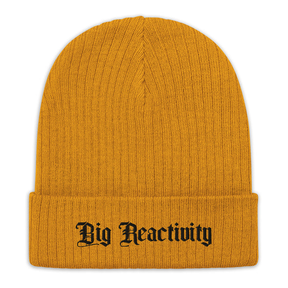 Big Reactivity Recycled Beanie