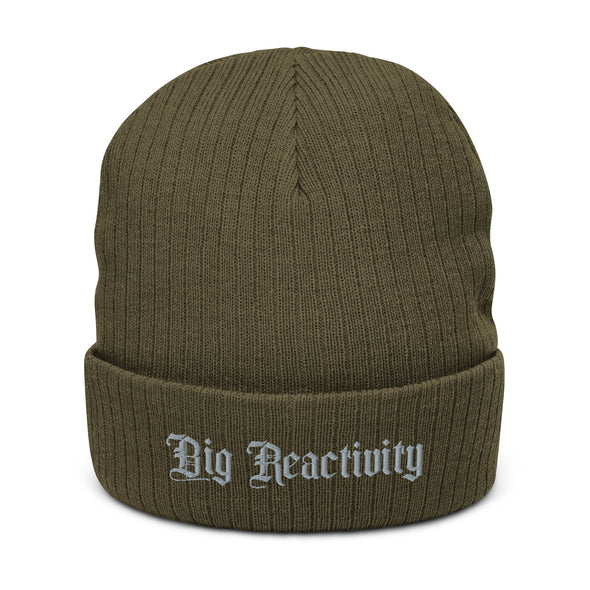 Big Reactivity Recycled Beanie